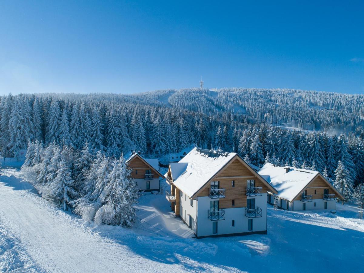 Ski Chalet Klínovec Loučná pod Klínovcem Exterior foto