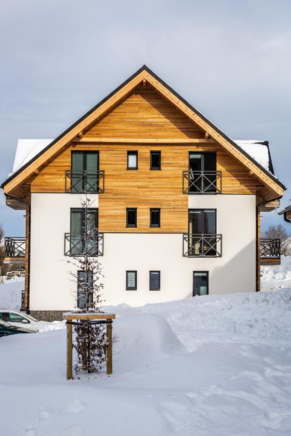 Ski Chalet Klínovec Loučná pod Klínovcem Exterior foto