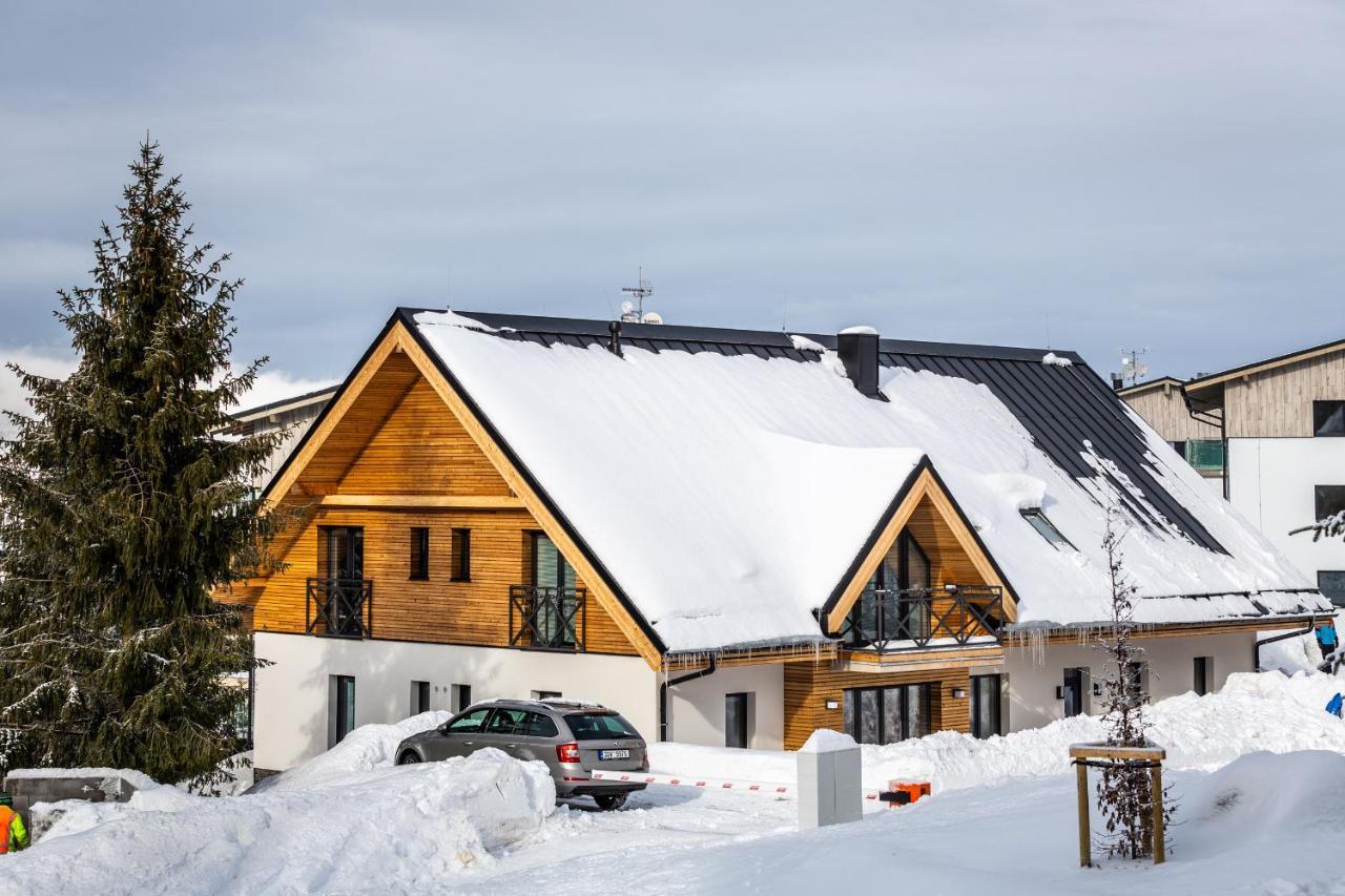Ski Chalet Klínovec Loučná pod Klínovcem Exterior foto