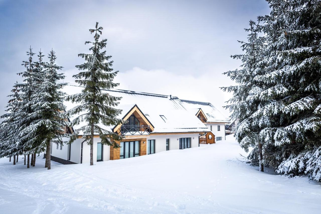 Ski Chalet Klínovec Loučná pod Klínovcem Exterior foto