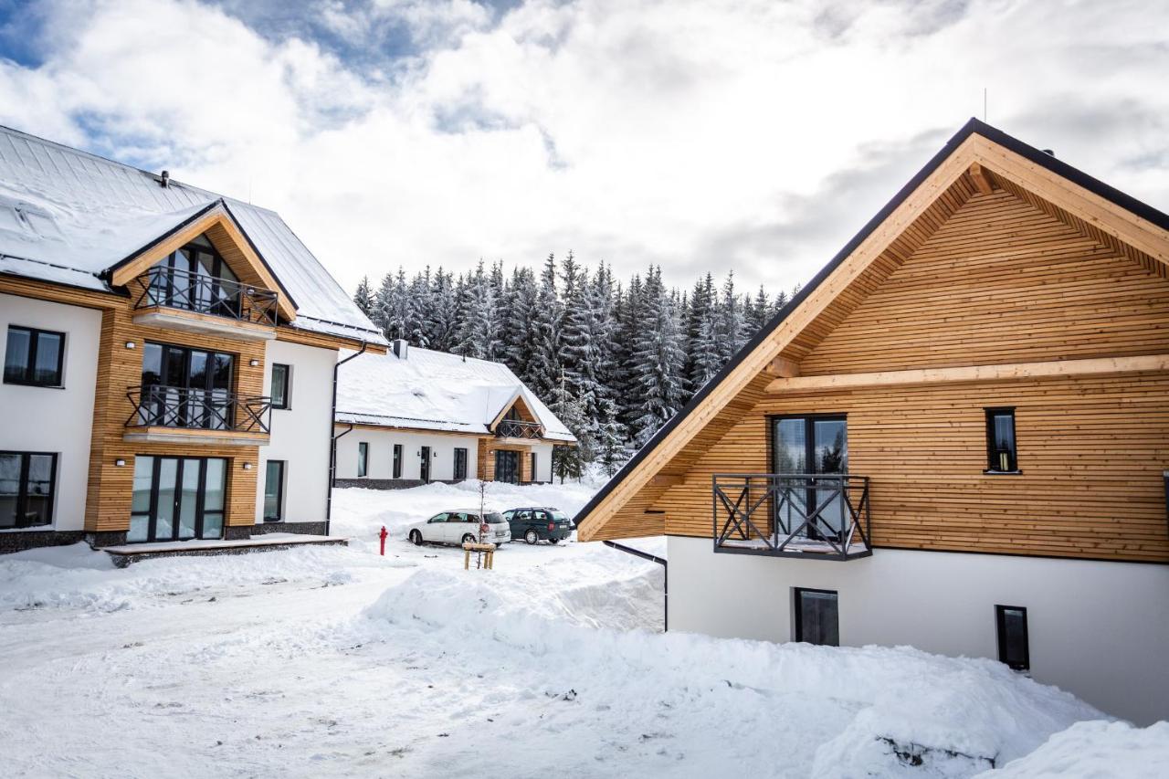 Ski Chalet Klínovec Loučná pod Klínovcem Exterior foto