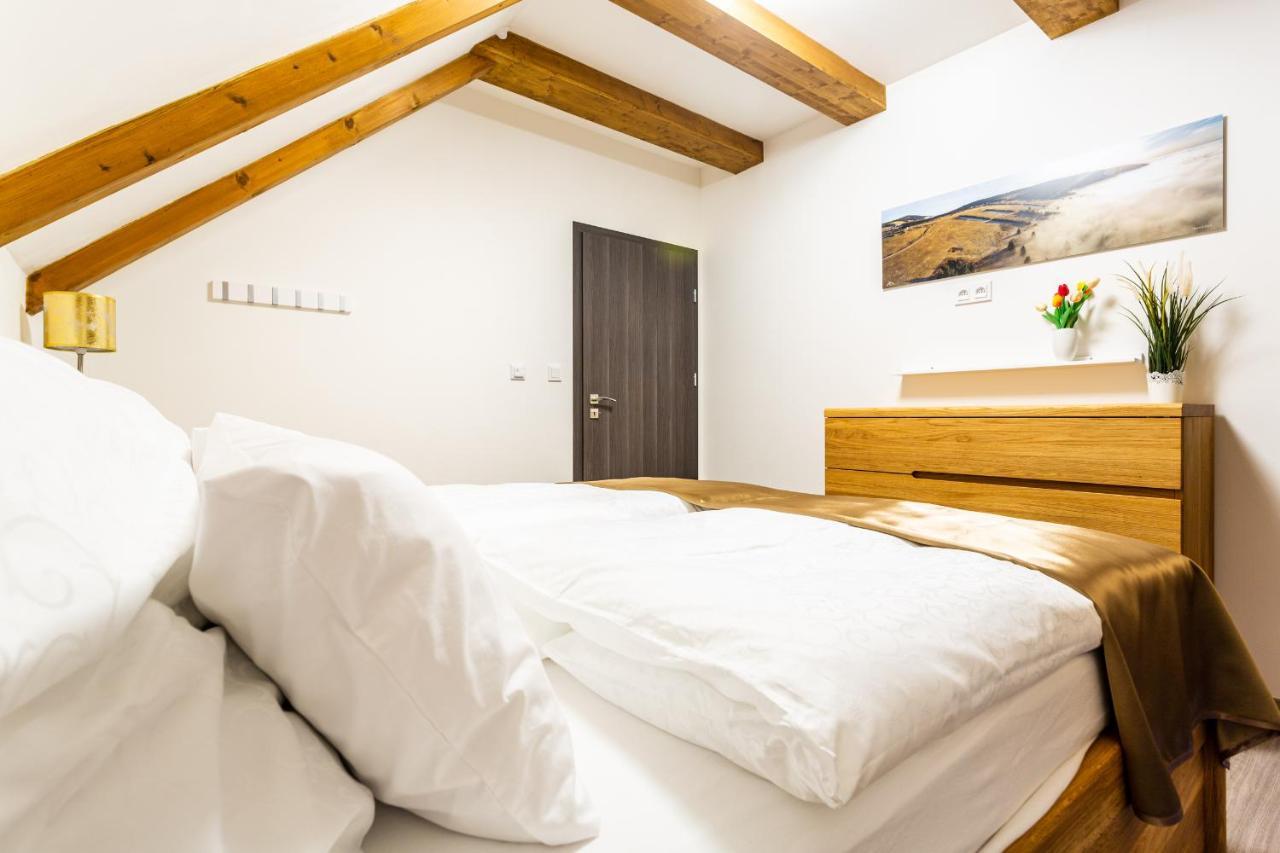 Ski Chalet Klínovec Loučná pod Klínovcem Exterior foto